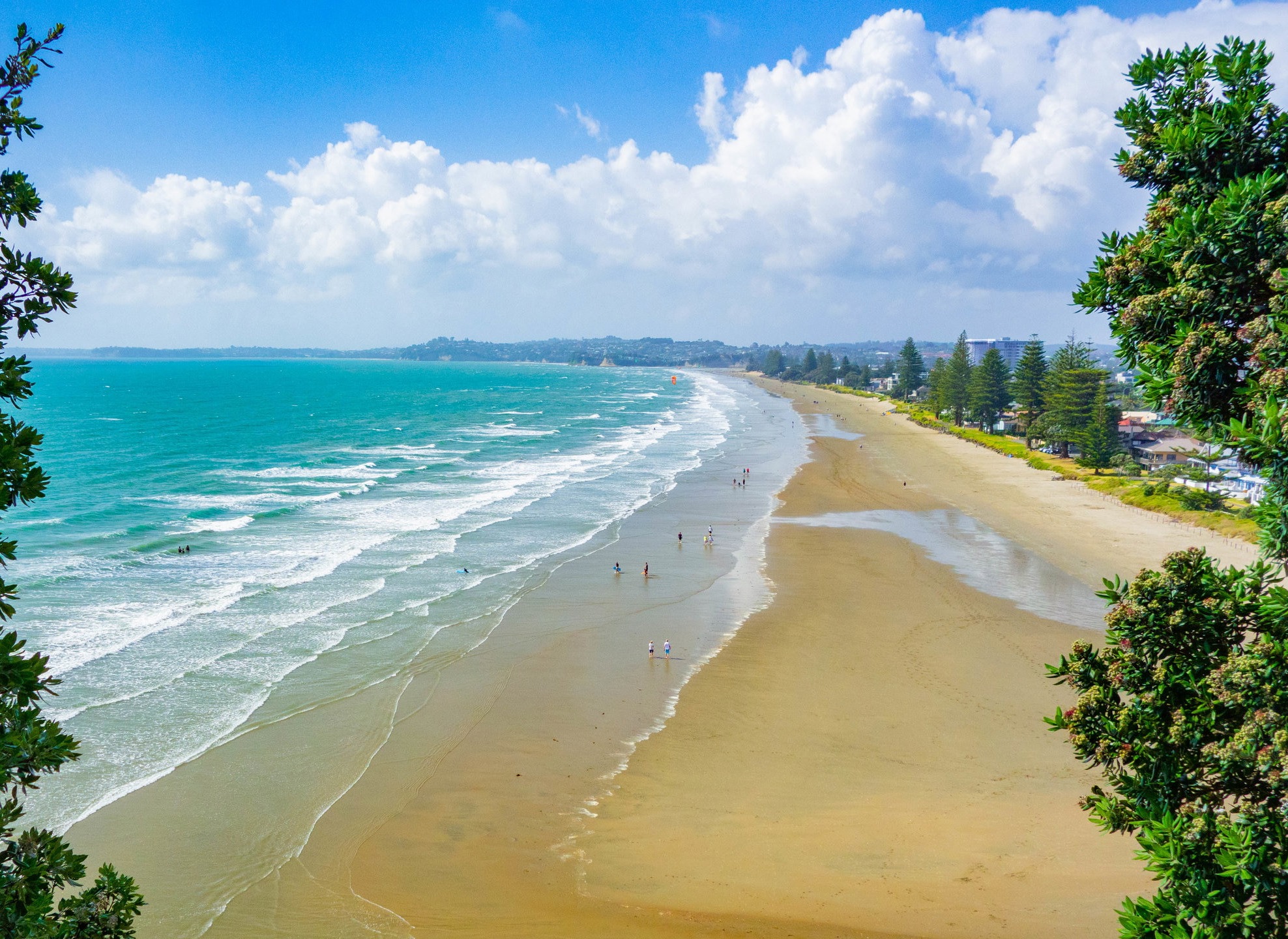 Dog Friendly Auckland Beaches Dog Friendly Auckland Beaches
